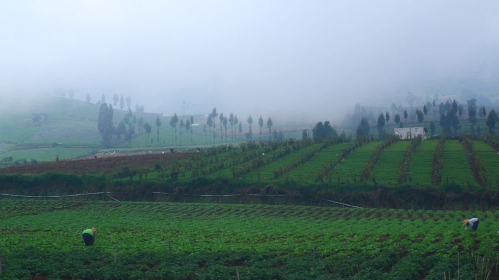 Photograph by Nawipa Nato