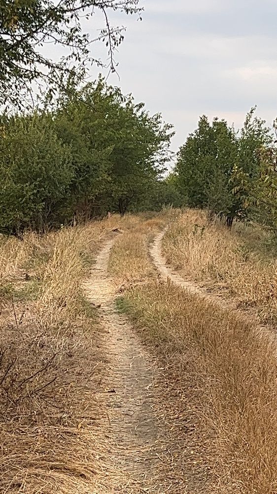 Photograph by Елена Громова