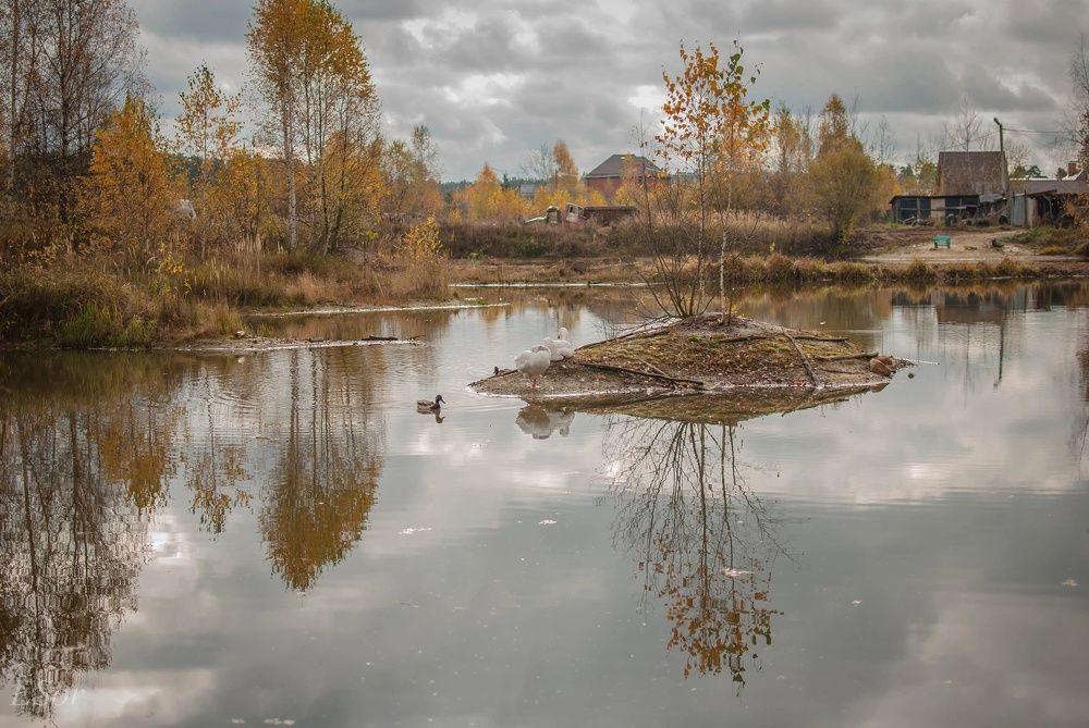 Photograph by Елена Царёва