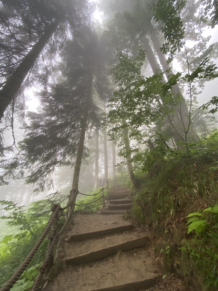 Photograph by Елена Гущина