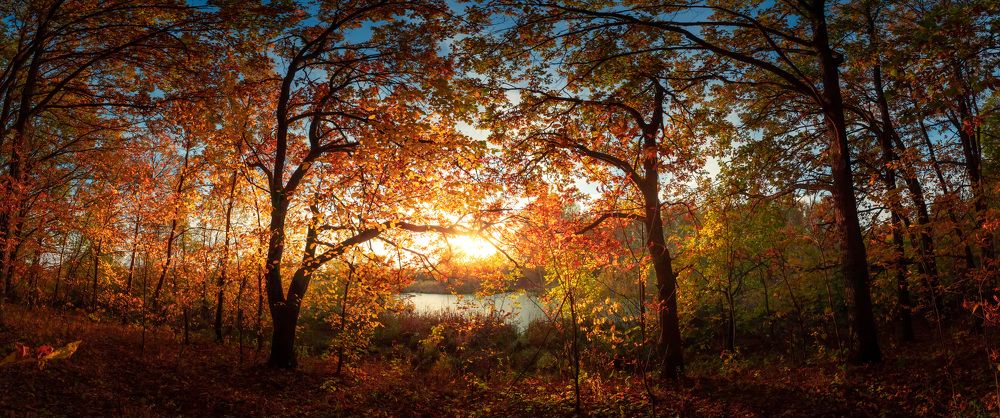 Photograph by Сергей Кочетов