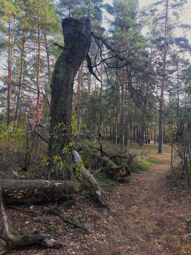 Photograph by Ольга Мартьянова