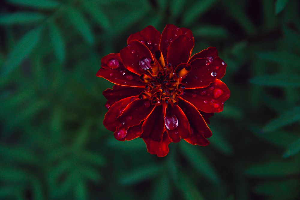 Photograph by Громова Мария