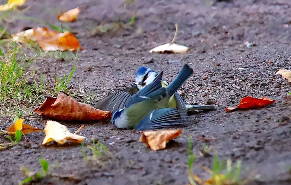 Photograph by Татьяна Слесарева