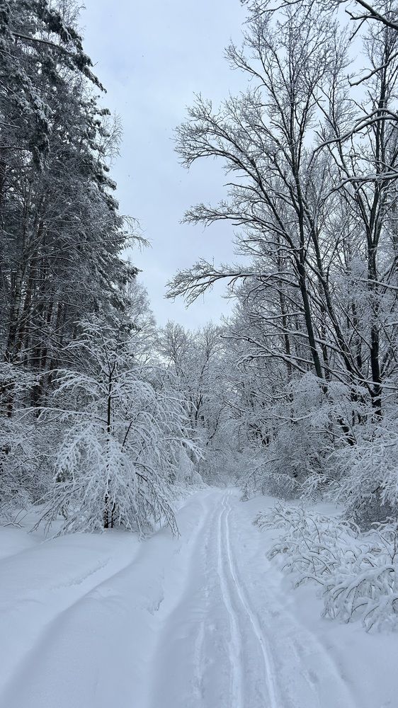 Photograph by Елена Гущина