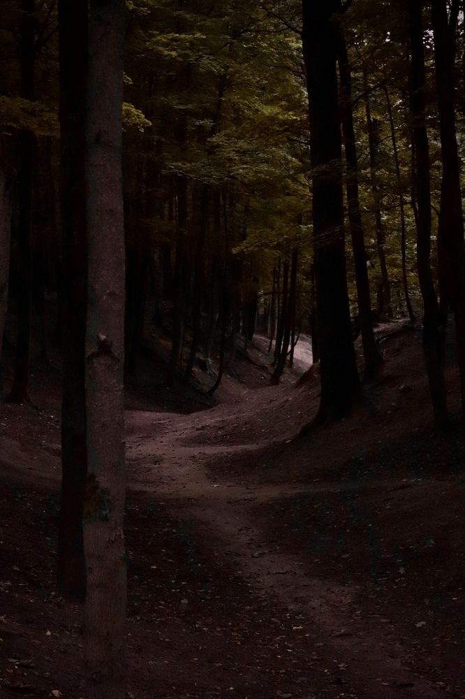 Photograph by Ольга Барулина