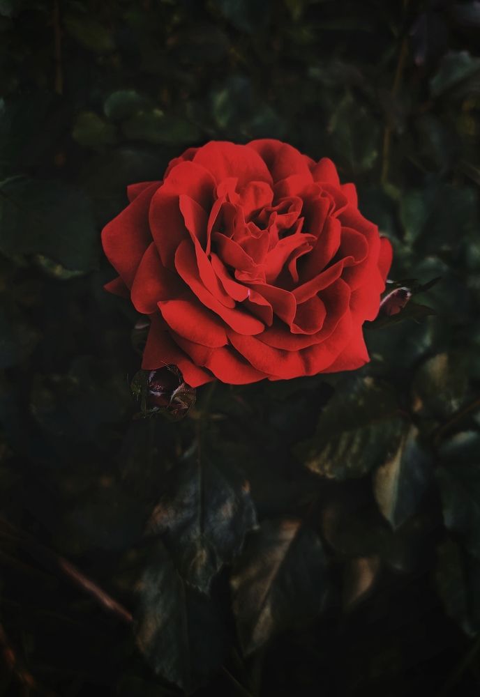 Photograph by Светлана Барабанова