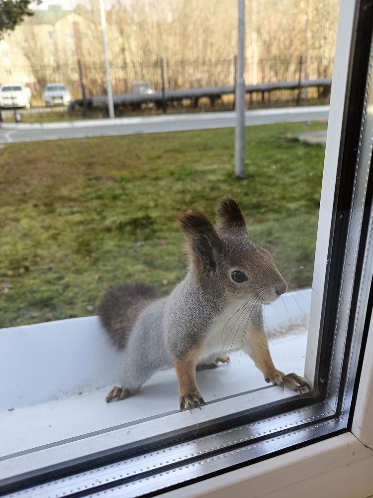 Photograph by Лариса Натальская