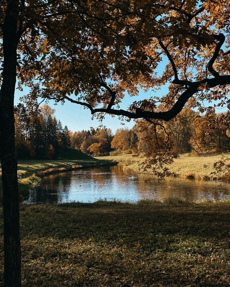 Photograph by Валерия Ефименко