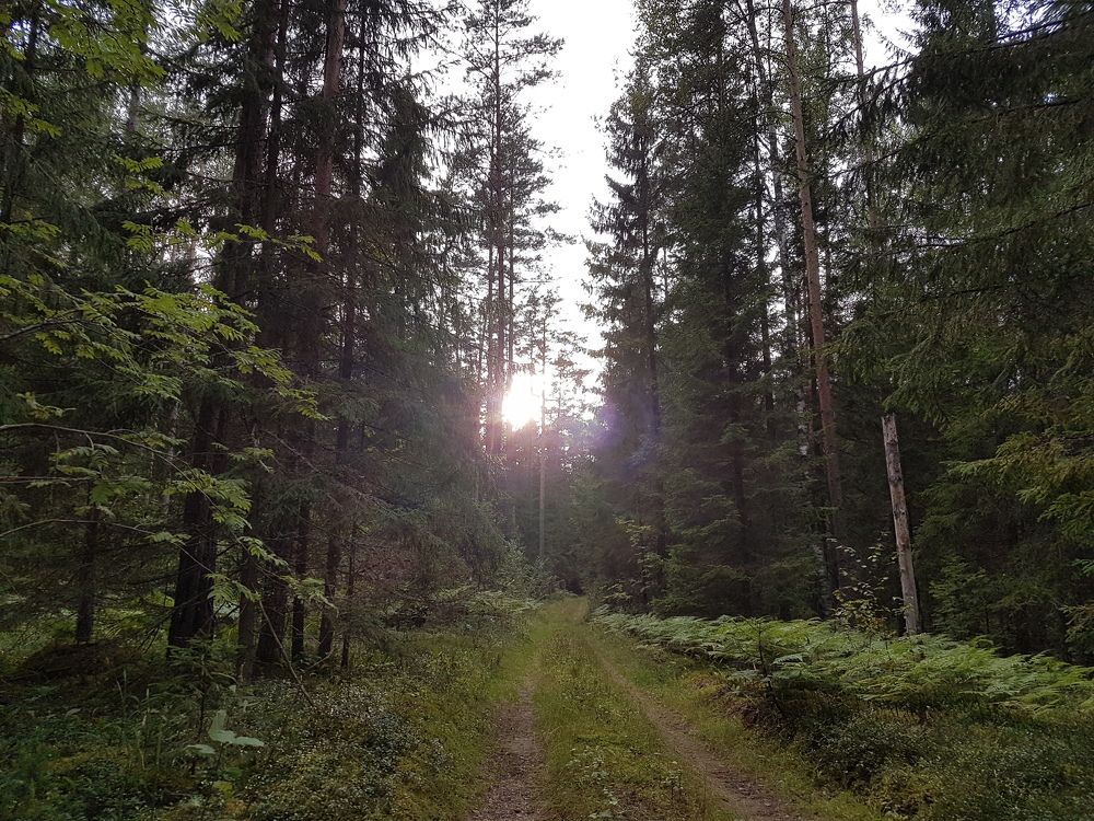 Photograph by Карчевский Павел