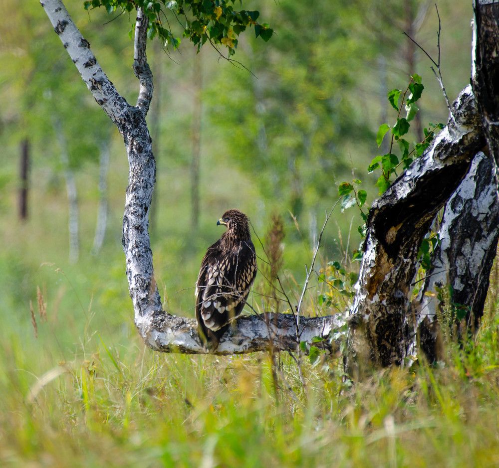 Photograph by Вадим Басов