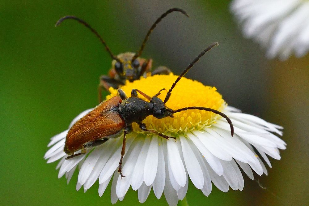 Photograph by Игорь Корнейчук