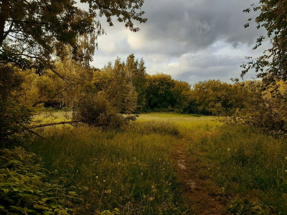 Photograph by Екатерина