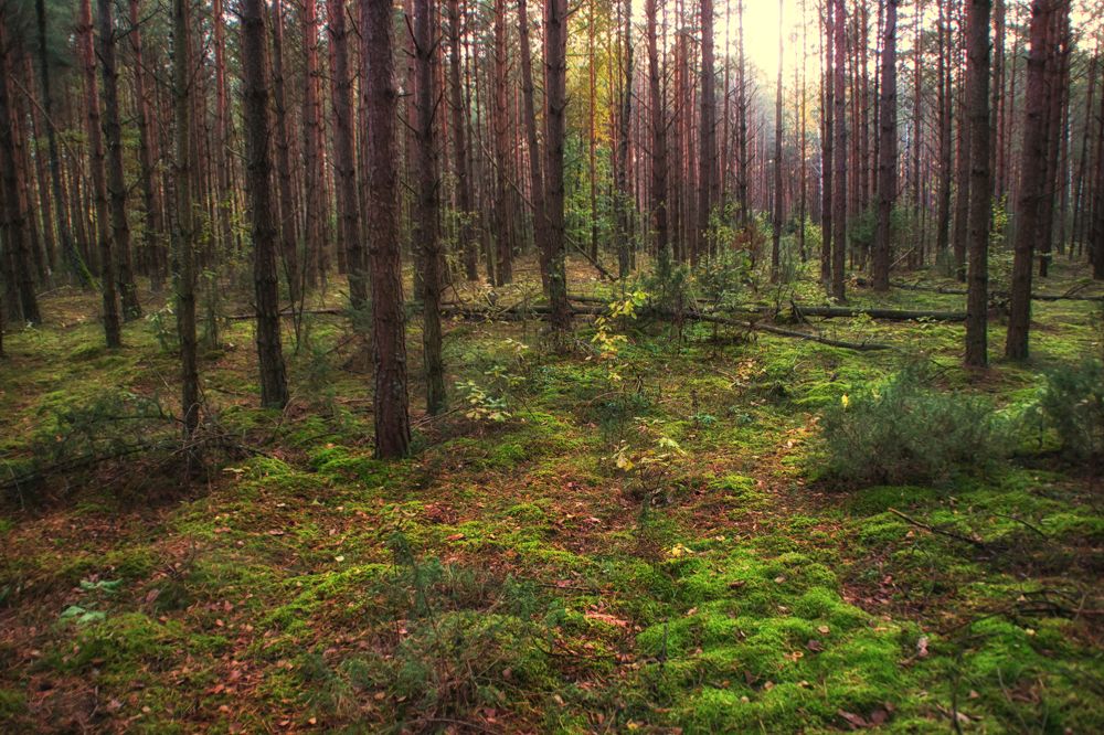 Фотография автора Юлия Кранина