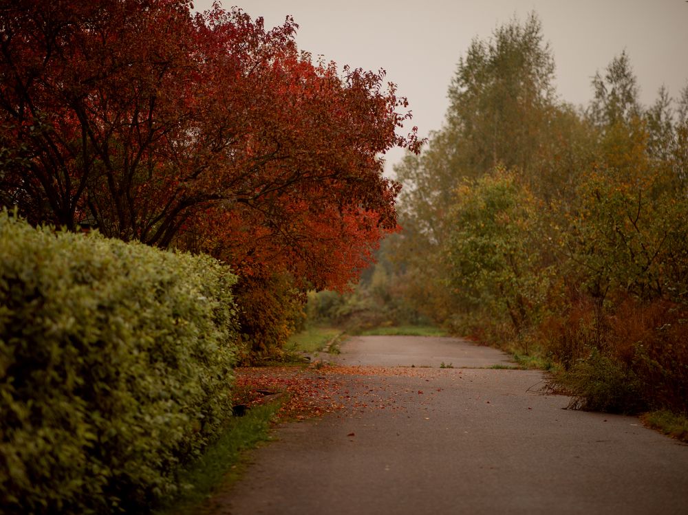 Photograph by Аванесова Мария