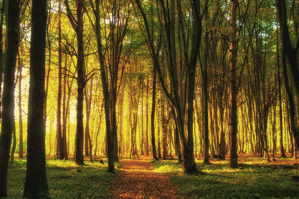 Фотография автора Юлия Кранина