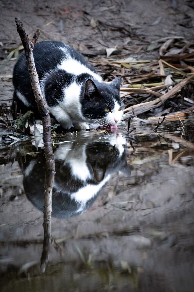 Photograph by Ольга