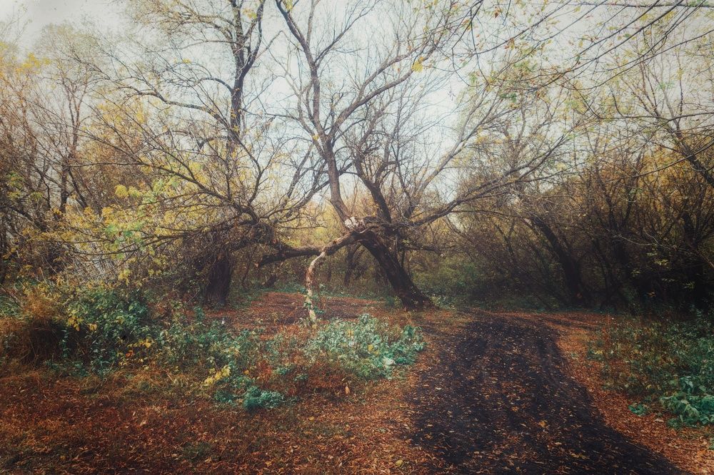 Photograph by Елена Шабельникова