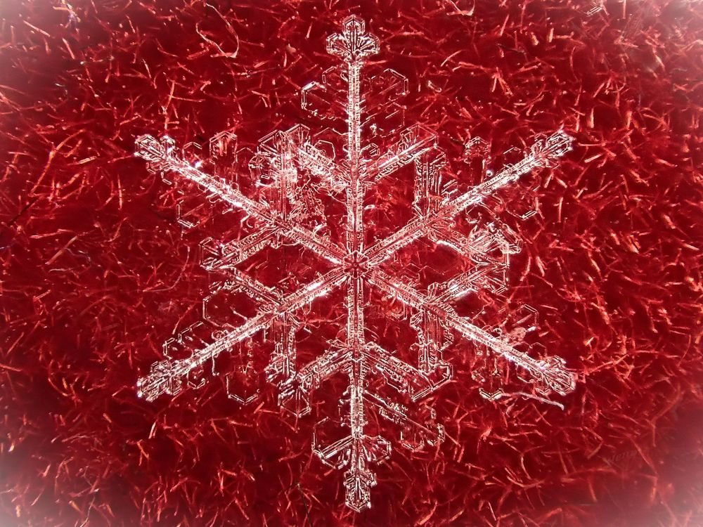 Снежное кружево