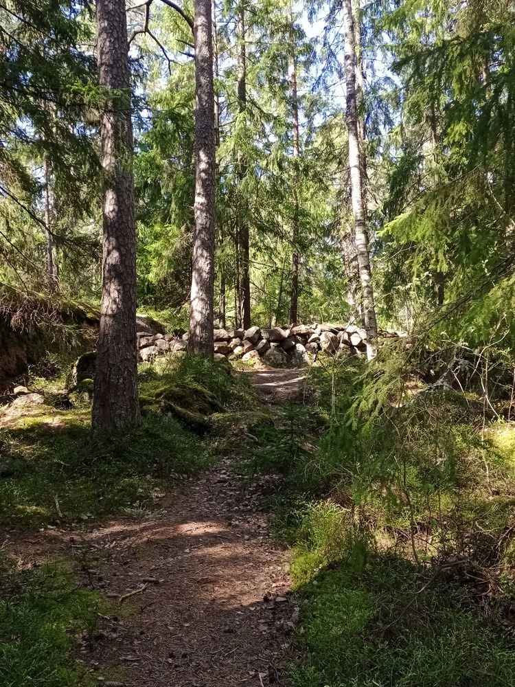 Photograph by Sergey Kurkov-Tarkovsky