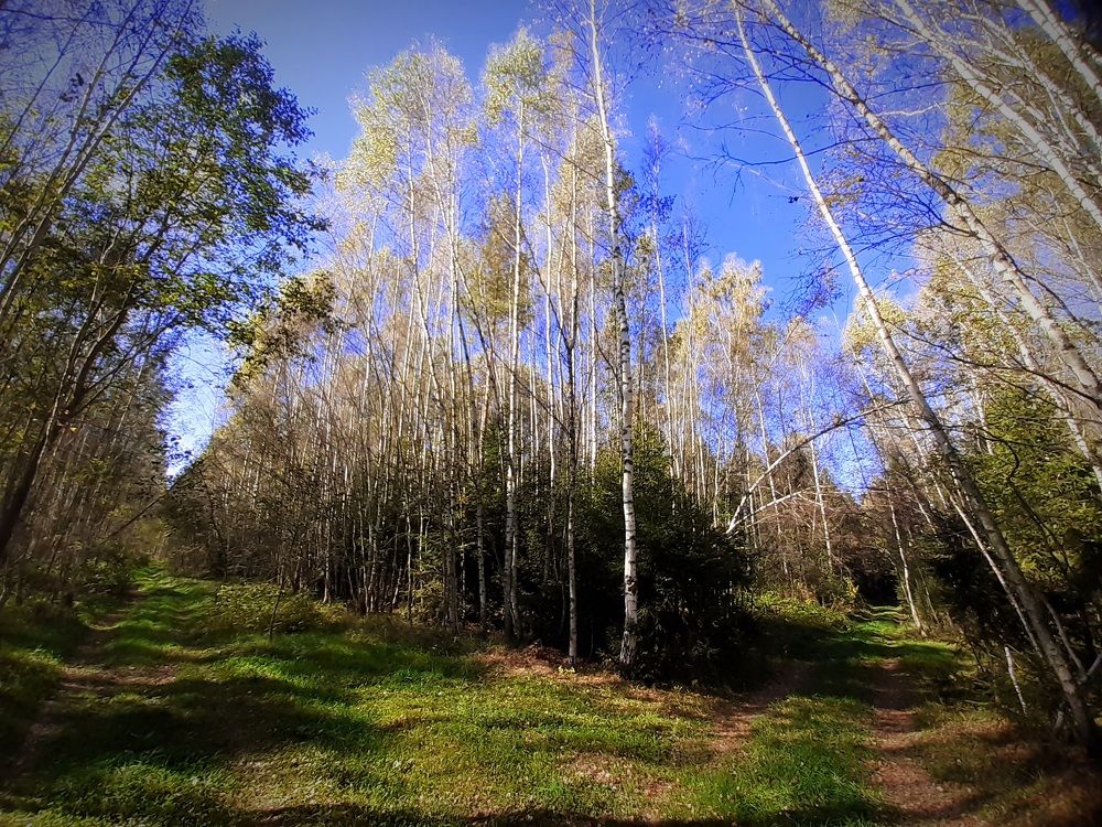 Photograph by Екатерина