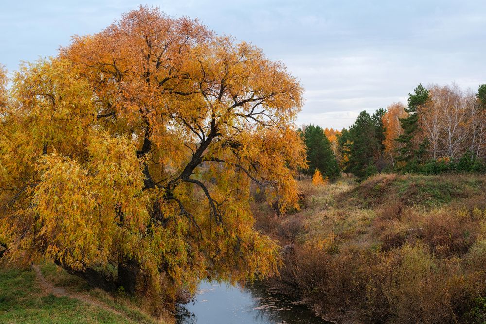 Photograph by Бодрягин Виталий