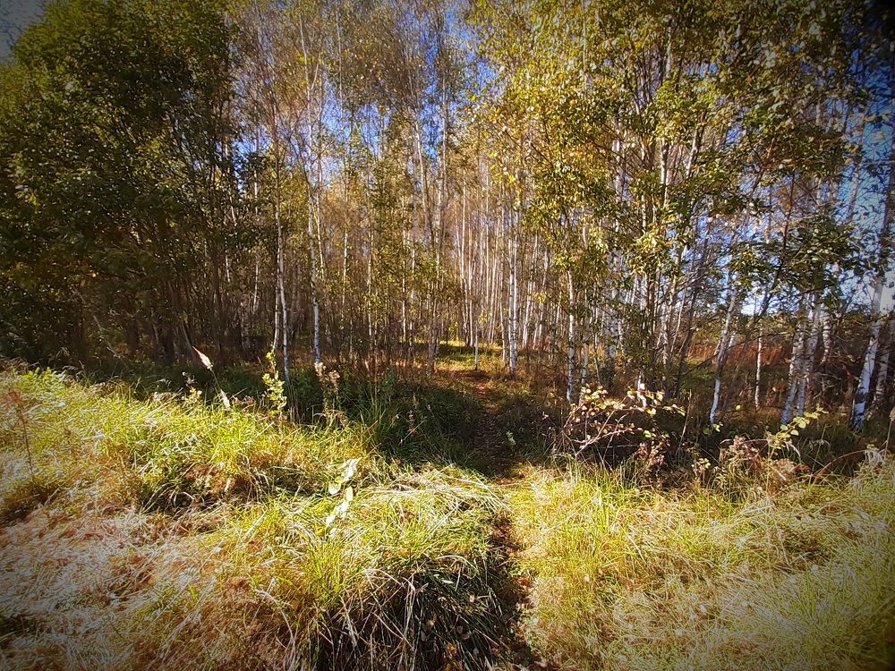 Photograph by Екатерина