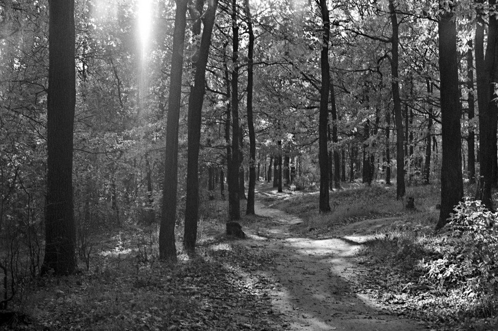 Photograph by Игорь Пшеничников