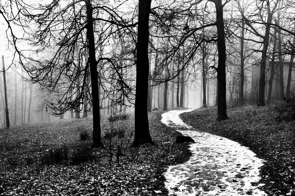 Photograph by Игорь Пшеничников