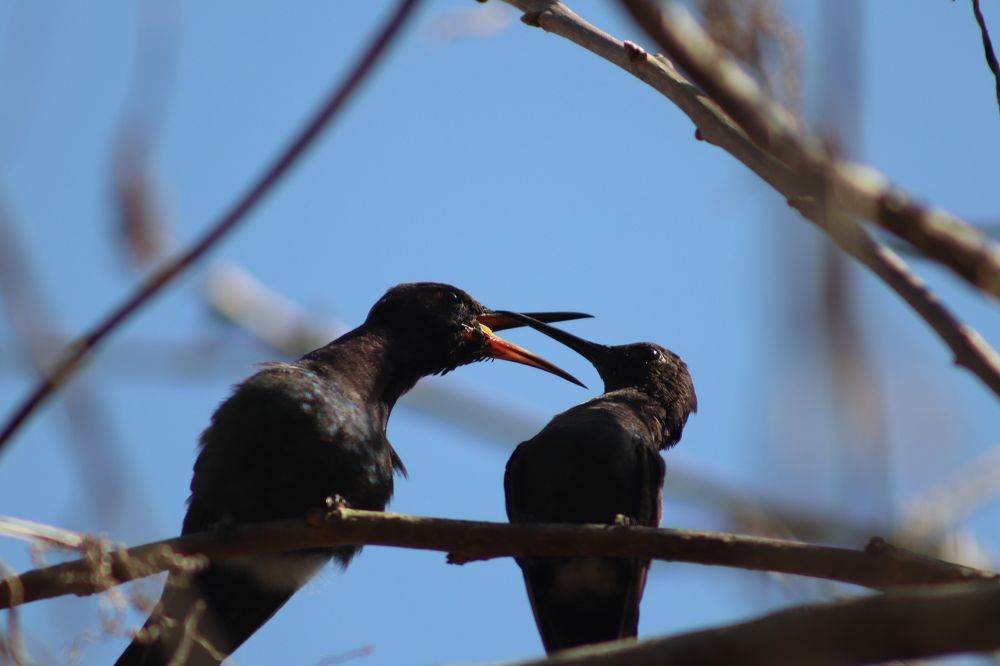 Photograph by Juliana