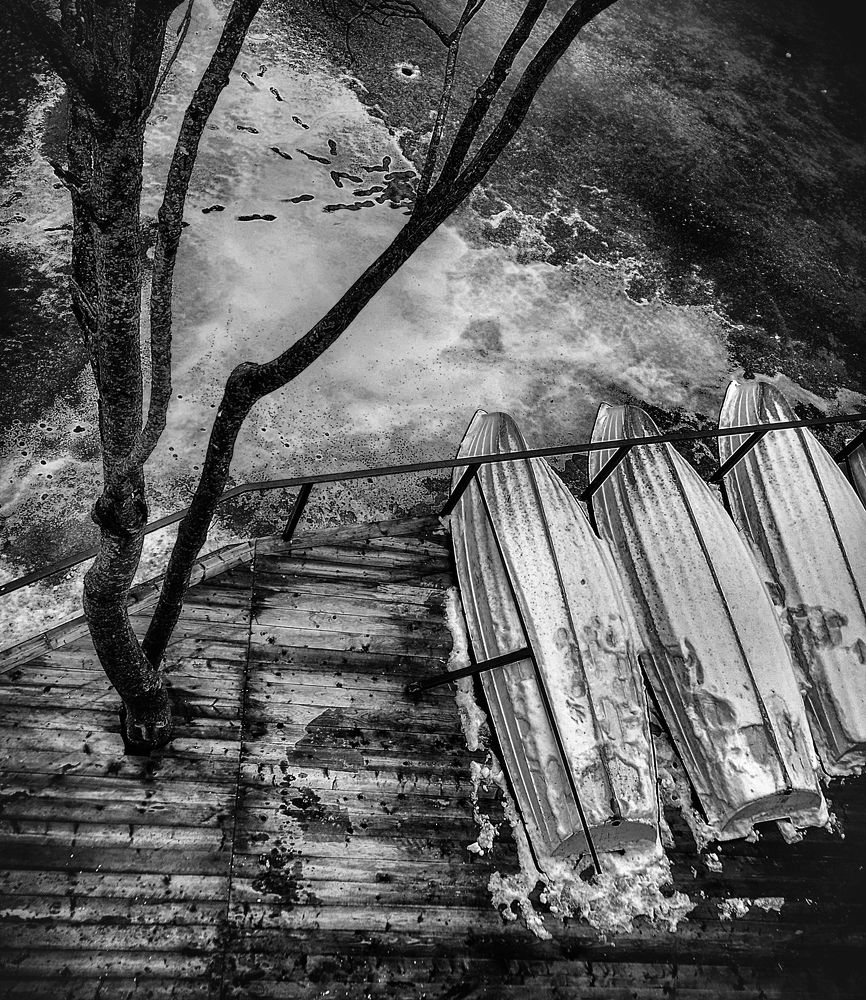 Photograph by Кривенко Владимир