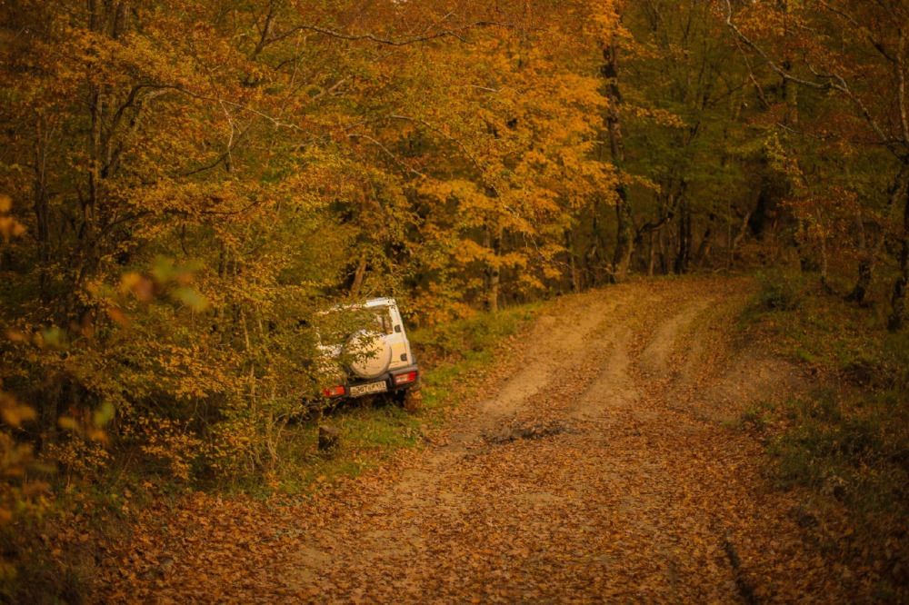 Photograph by Михаил Саидов