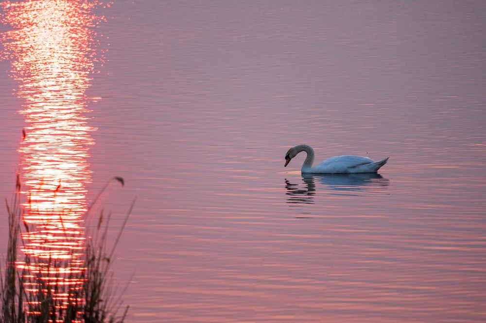 Photograph by Бодрягин Виталий