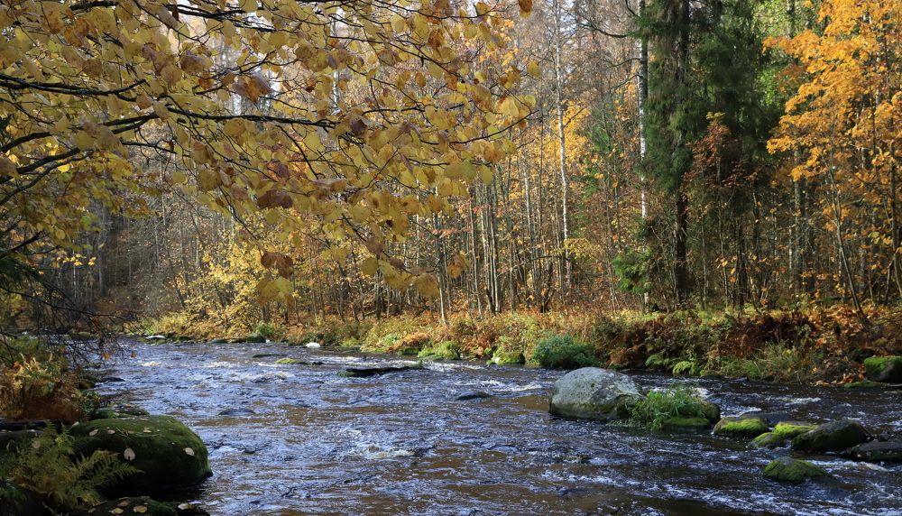 Photograph by елена