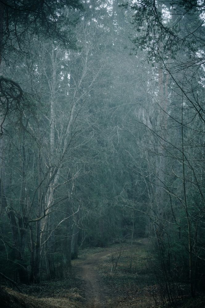 Photograph by Екатерина Одинцова