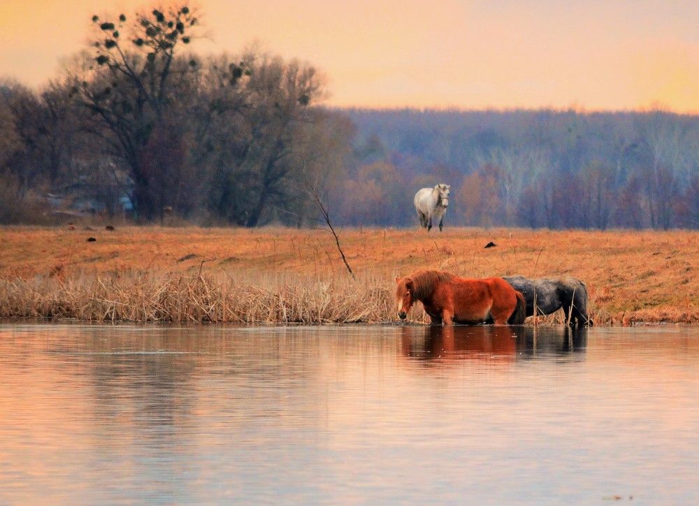 Photograph by Сиваков Алексей