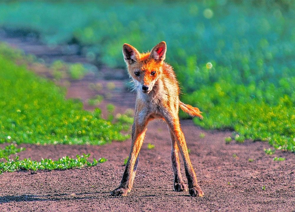 Photograph by Сиваков Алексей