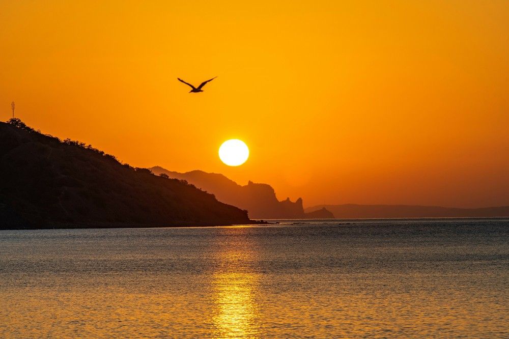 Photograph by Сиваков Алексей