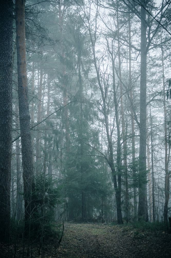 Photograph by Екатерина Одинцова