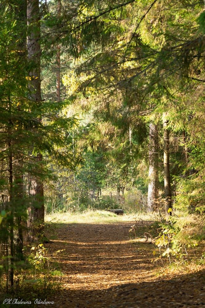 Photograph by Екатерина Одинцова