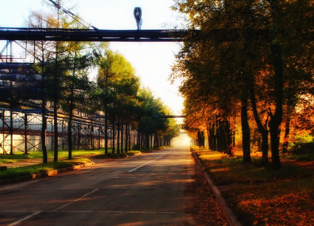 Фотография автора Сергей Яковлев