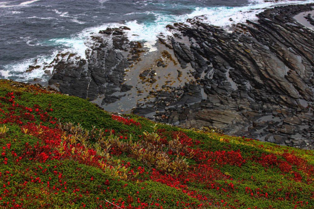 Фотография автора Александр Довганюк