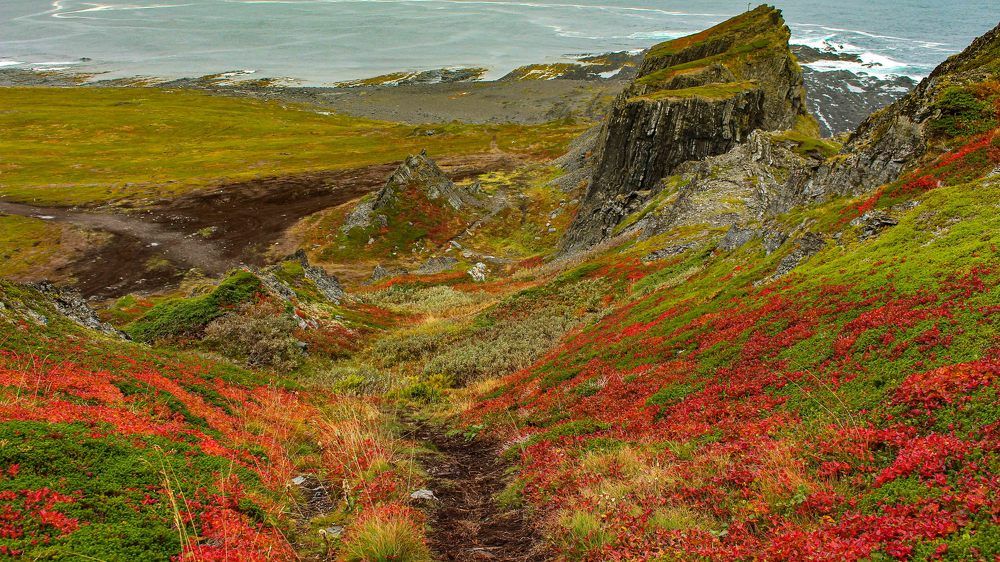 Фотография автора Александр Довганюк