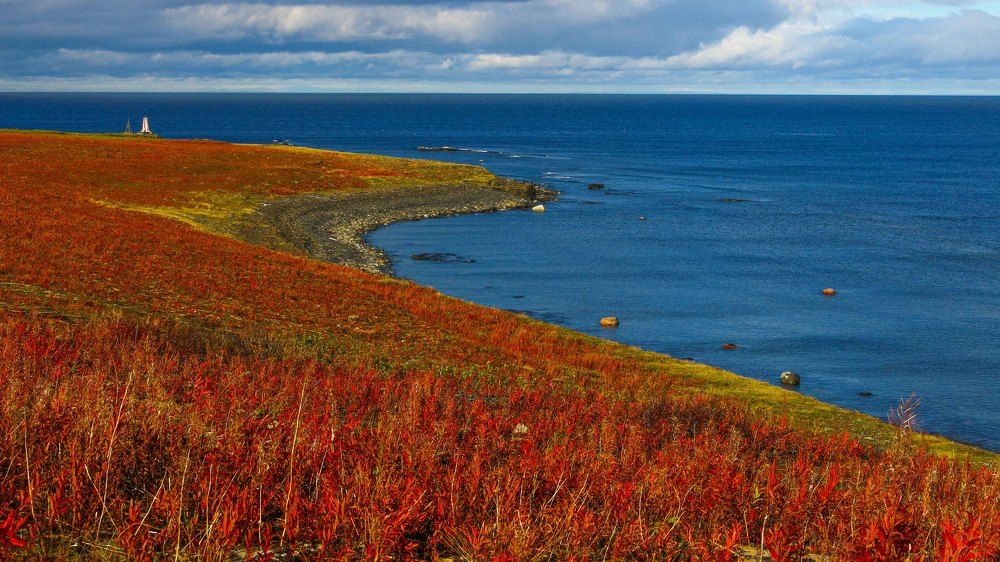 Фотография автора Александр Довганюк