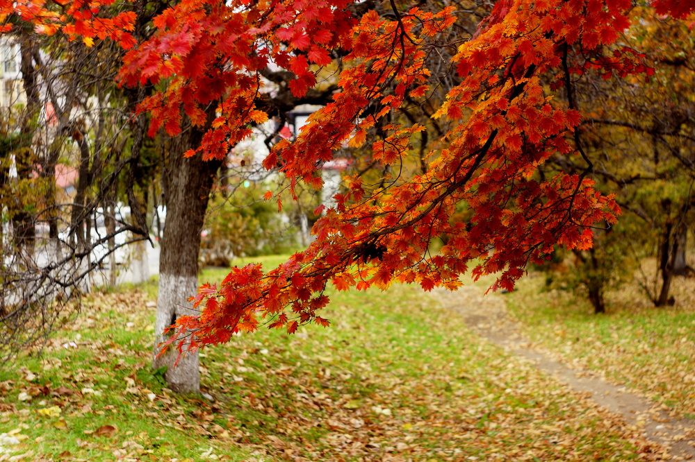 Photograph by Лариса Неман