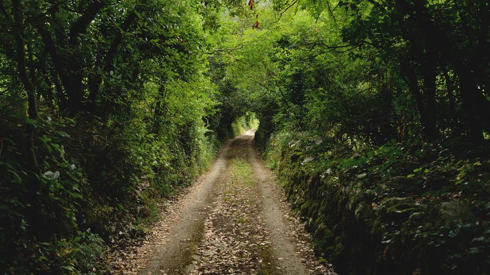 Photograph by Анатолий Садовский