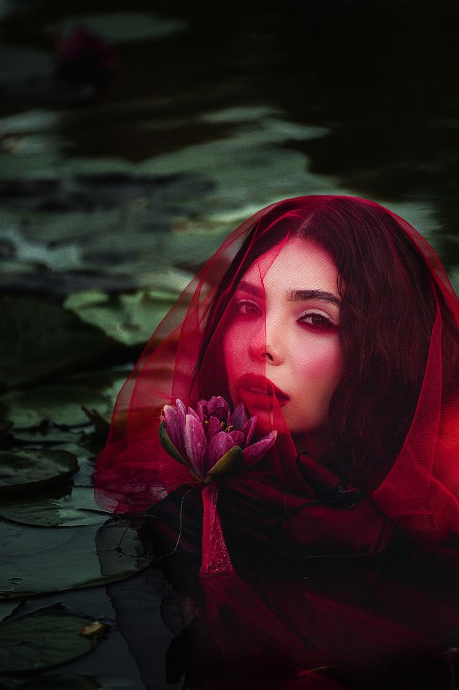 Photograph by Мария Чернявская