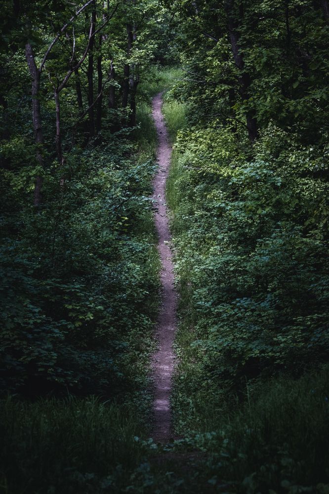 Photograph by Степан Ковыльчик