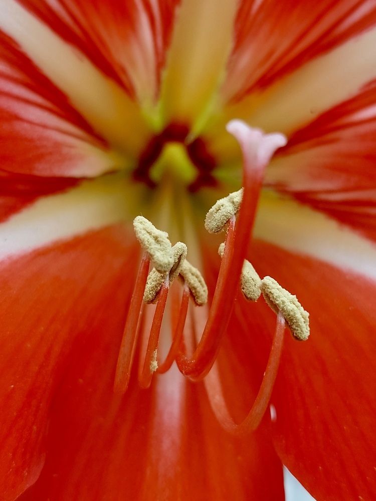 Photograph by Мария