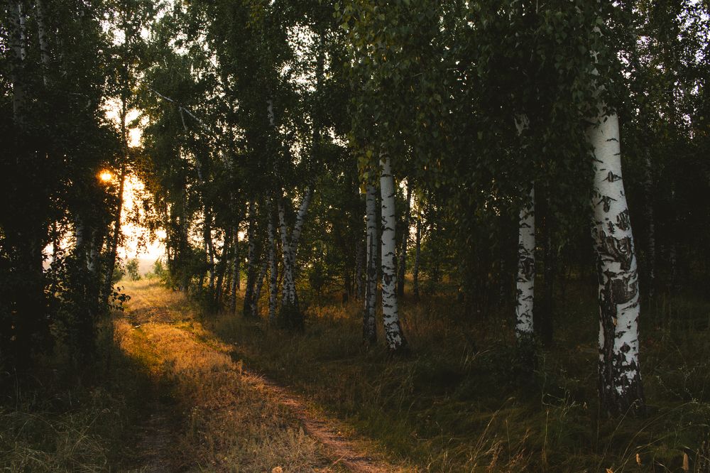 Photograph by Степан Ковыльчик